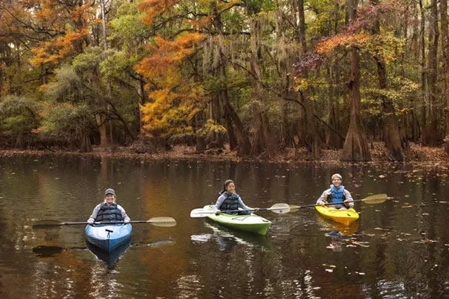 Congaree National Park can be explored by both land and water.