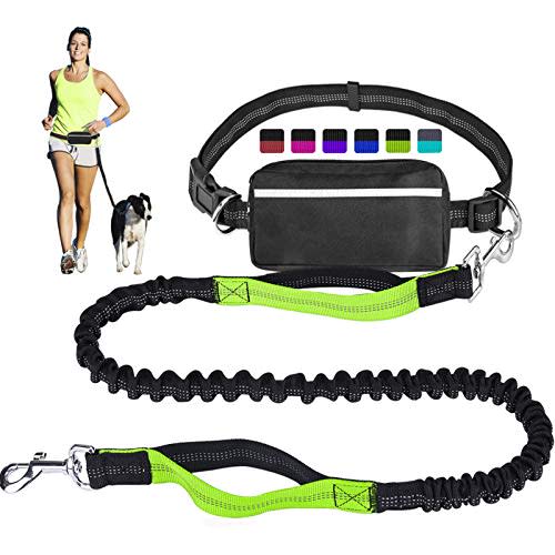 LANNEY Hands-Free Dog Leash for Running (Amazon / Amazon)