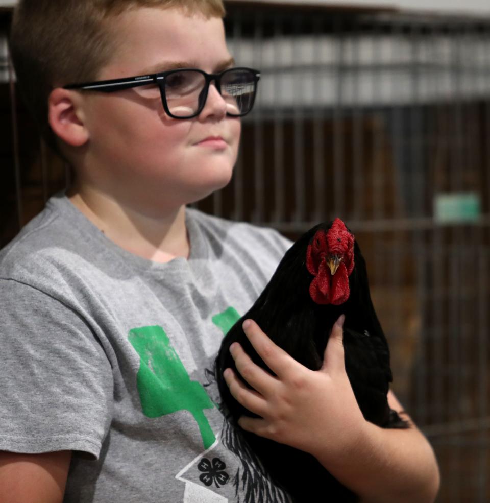 Ben Miller, carrying Martin, was there to participate in the Rooster Crowing contest this year at the Kentucky State Fair.Aug. 18, 2022