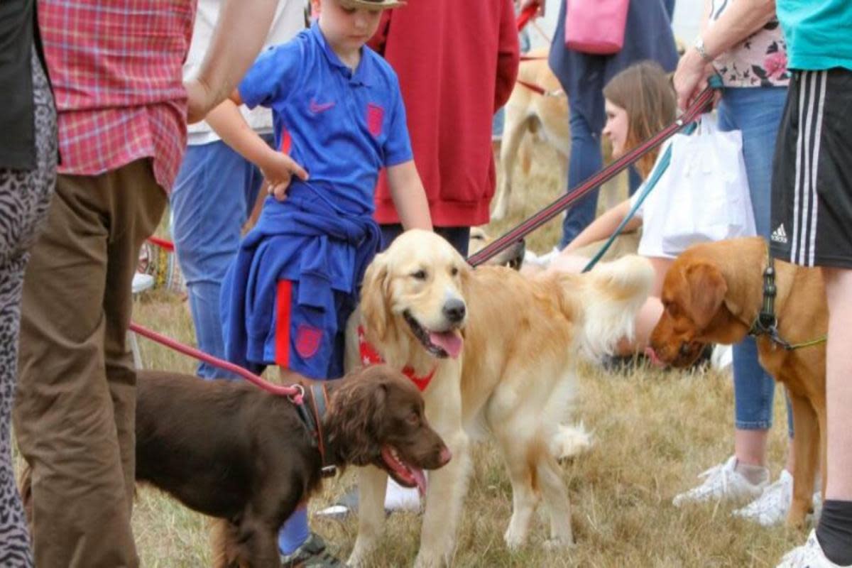 Suffolk Dog Day has announced it's return for 2024 <i>(Image: Submitted)</i>