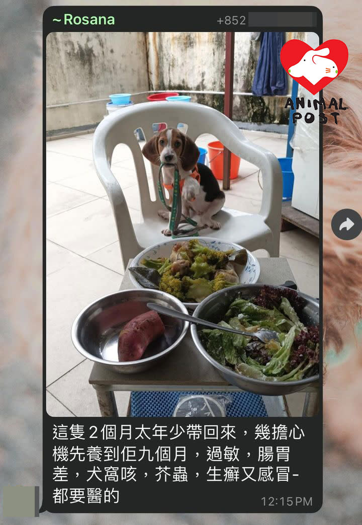 The dog's owner once spoke out in the Begao group, saying that the dog suffered from numerous illnesses.