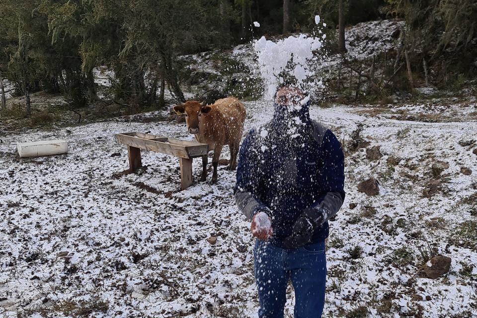 A man plays with snow at a farm in rural Sao Joaquim, Brazil, Thursday, July 29, 2021. A fierce cold snap on Wednesday night prompted snowfall in southern Brazil where such weather is a phenomenon. (AP Photo/Mycchel Legnaghi) ORG XMIT: XEP115