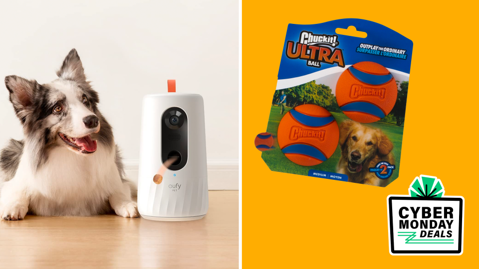 Save big on our favorite dog camera this Cyber Monday.