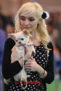 BIRMINGHAM, ENGLAND - MARCH 08: Dogs and their owners attend Day one of Crufts at the Birmingham NEC Arena on March 8, 2012 in Birmingham, England. During the annual four-day competition nearly 22,000 dogs and their owners will compete in a variety of categories, ultimately seeking the coveted prize of 'Best In Show'. (Photo by Dan Kitwood/Getty Images)