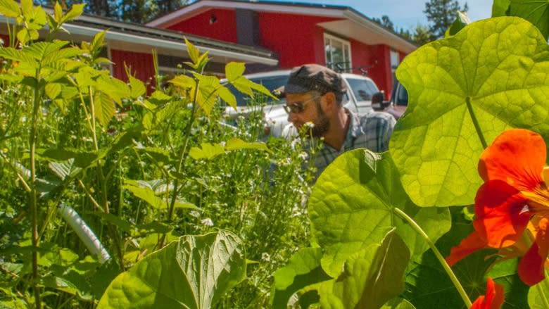 'It's essential': A Yukon green thumb lowers his carbon footprint