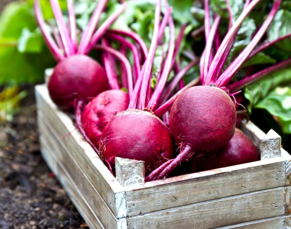 fresh beetroots in wooden tray beet with leaves