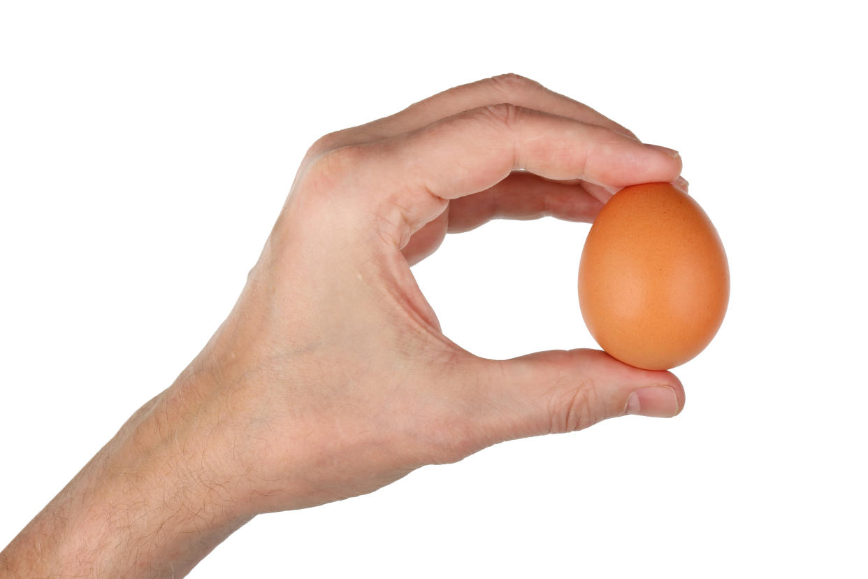 Fermer  man holds in his hand a fresh red chicken egg. Isolated on white studio concept
