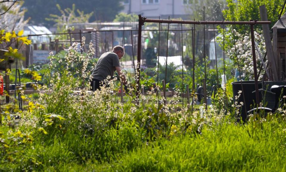 <span>Photograph: Andrew Fosker/REX/Shutterstock</span>