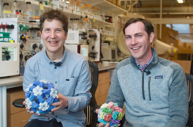 University of Washington biochemists David Baker and Neil King show off molecular models of proteins at UW’s Institute for Protein Design. (UW IPD Photo / Ian Haydon)