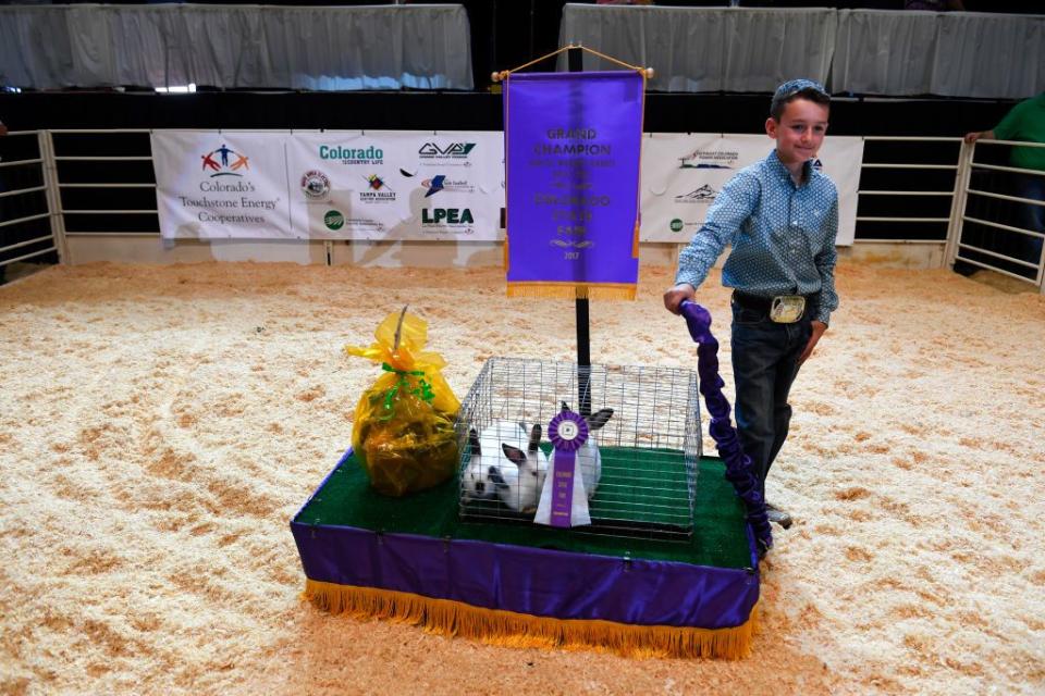 Colorado State Fair