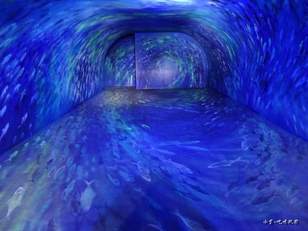 祝大漁海底隧道 (13)4.jpg