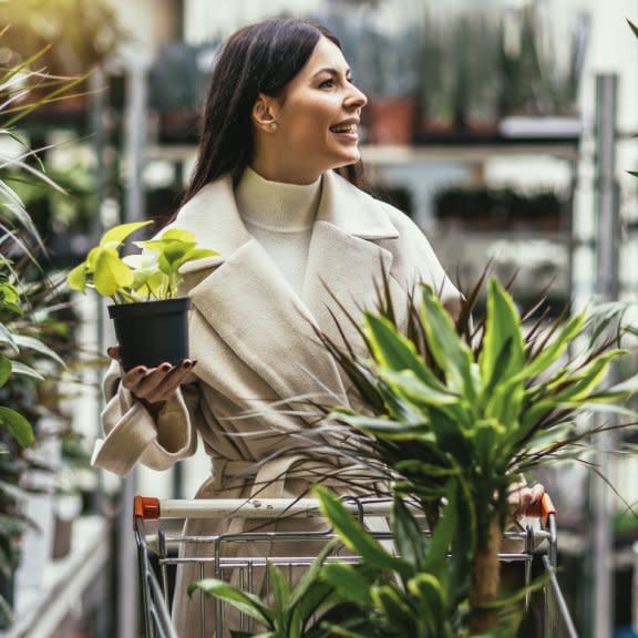  A smiling woman shops for houseplants. 