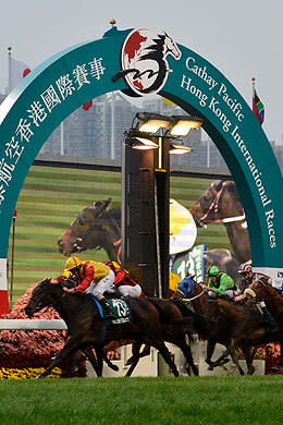 Offering a purse of $2.24 million, the Hong Kong Cup is run over 2000 metres and is one of four international races held in the Asian city-state.