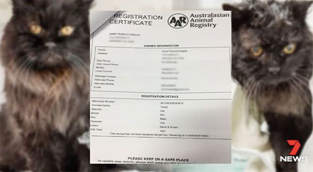 Teddy's registration certificate states that he was born in 1991. Source: 7 News