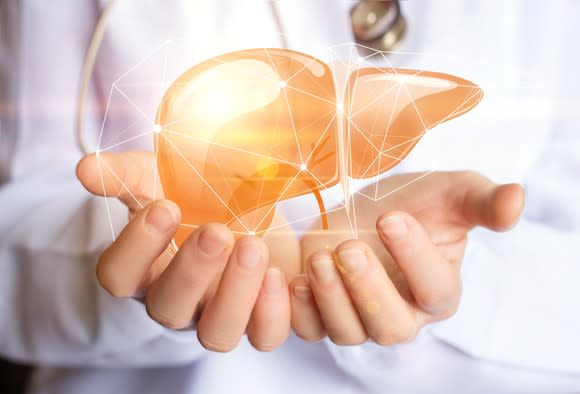 A doctor holding a 3D image of a liver in the palm of his hands.