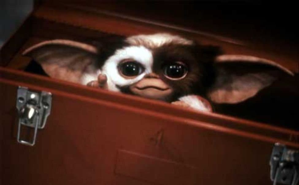 Gizmo, le gentil Mogwaï dans 