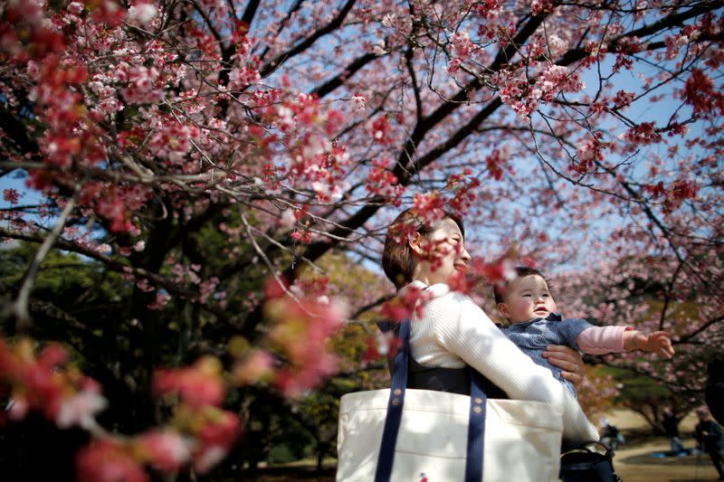 FILE PHOTO: A seven-month-old baby and her mother look at early flowering Kanzakura cherry blossoms in full bloom at the Shinjuku Gyoen National Garden in Tokyo