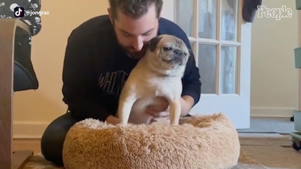 Meet Noodle — The 13-Year-Old Pug That Decides if It Is a 'Bones' or 'No Bones' Day On TikTok