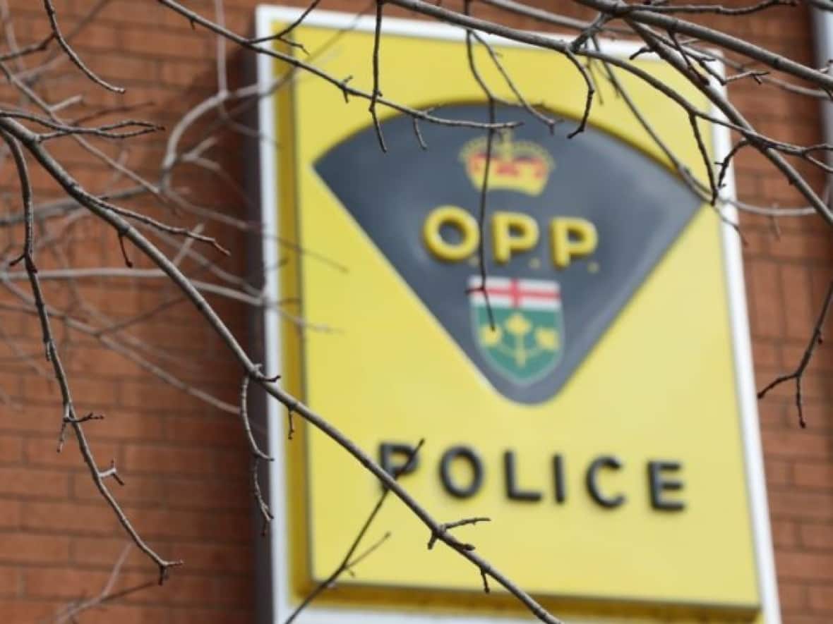 Ontario Provincial Police and the Transportation Safety Board of Canada are investigating a fatal aircraft crash west of Ottawa over the weekend. (Kimberly Ivany/CBC - image credit)