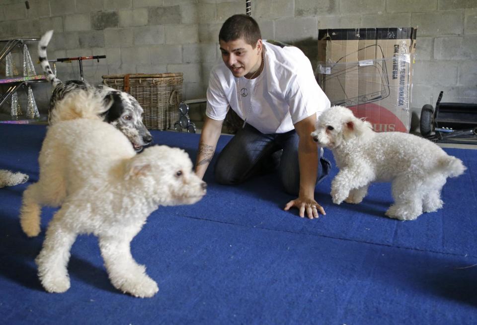 In this photo taken on Tuesday, April 22, 2014, Nicholas Olate plays with dogs Toby, front left, Oreo, back left, and Kopo, right, after a training session in Sorrento, Fla. The Olates spend more than 11 months a year on the road performing and they have been tapped to star in short films bankrolled by Ellen DeGeneres' pet food company, one of which is set to screen at the Cannes Film Festival. (AP Photo/John Raoux)