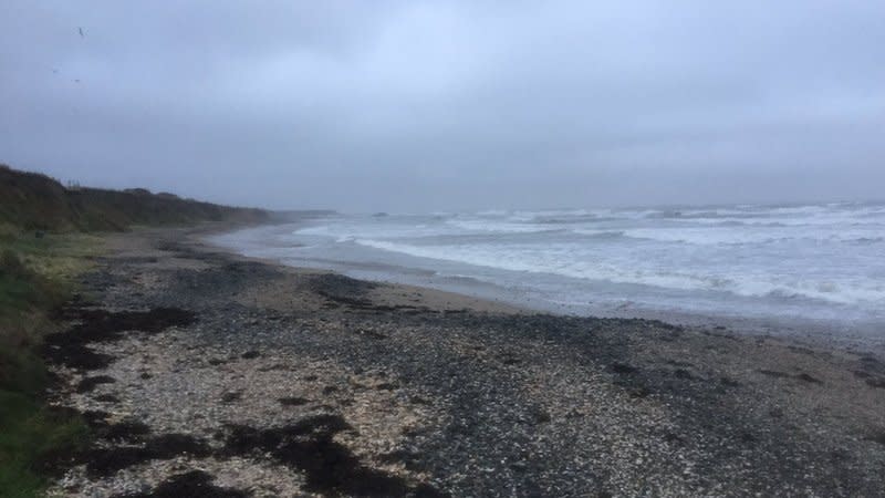 An investigation is under way after the body of a newborn baby was found at a Dublin beach: Google