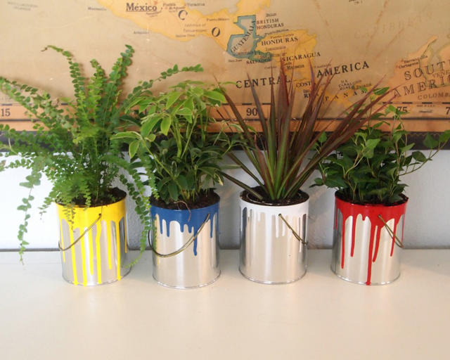 6 Clever Alternatives To Traditional Plant Pots