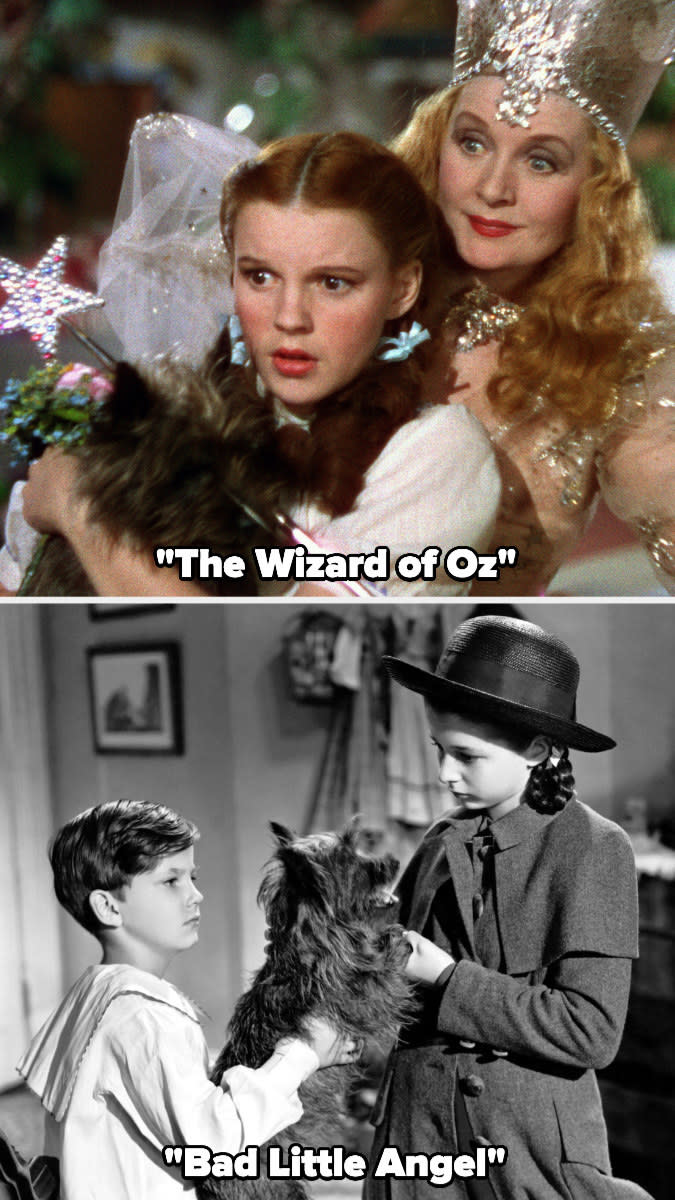 Toto the dog in "The Wizard of Oz" and "Bad Little Angel"