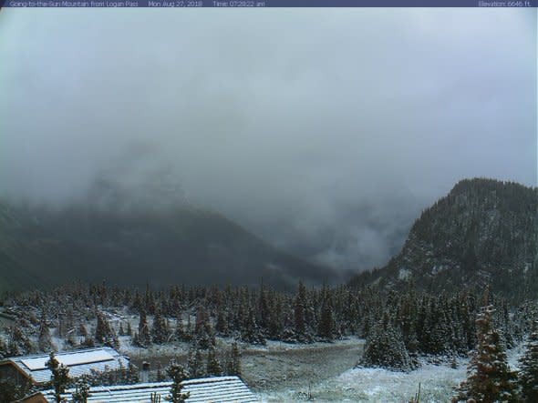 logan pass snow