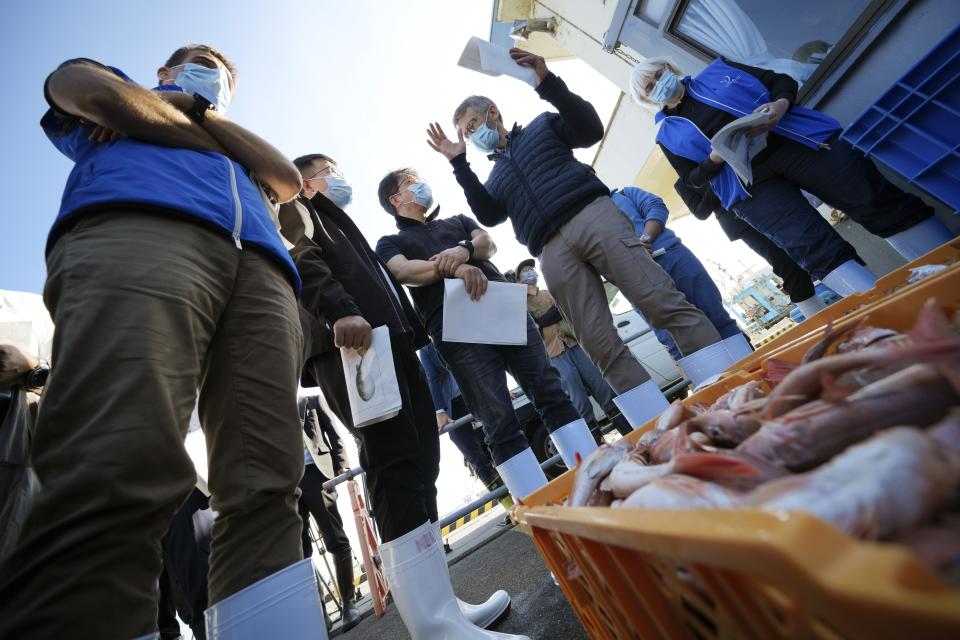 A team of experts from the International Atomic Energy Agency (IAEA) with scientists from China, South Korea and Canada observe the inshore fish during a morning auction at Hisanohama Port in Iwaki, northeastern Japan Thursday, Oct. 19, 2023. They are visiting Fukushima for its first marine sampling mission since the Fukushima Daiichi nuclear power plant started releasing the treated radioactive wastewater into the sea. (AP Photo/Eugene Hoshiko, Pool)