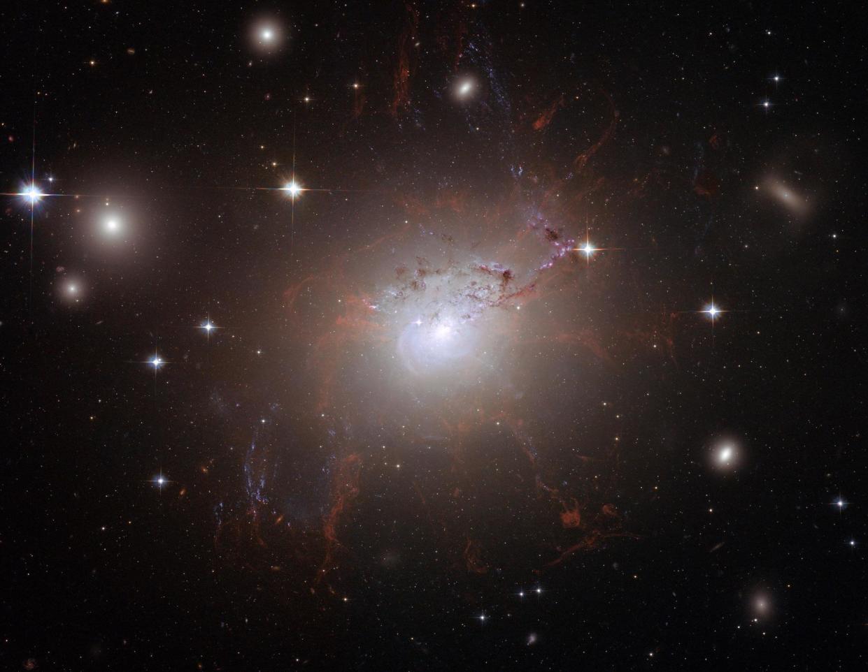 This handout image of the giant, active galaxy NGC 1275, obtained August 21, 2008 was taken using the NASA/ESA Hubble Space Telescope?s Advanced Camera for Surveys in July and August 2006: NASA/ESA via Getty Images