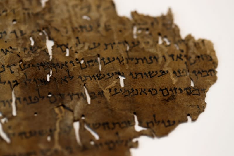 A fragment from the Dead Sea Scrolls that underwent genetic sampling to shed light on the 2,000-year-old biblical trove is shown to Reuters at the Israel Antiquities Authority laboratory in Jerusalem