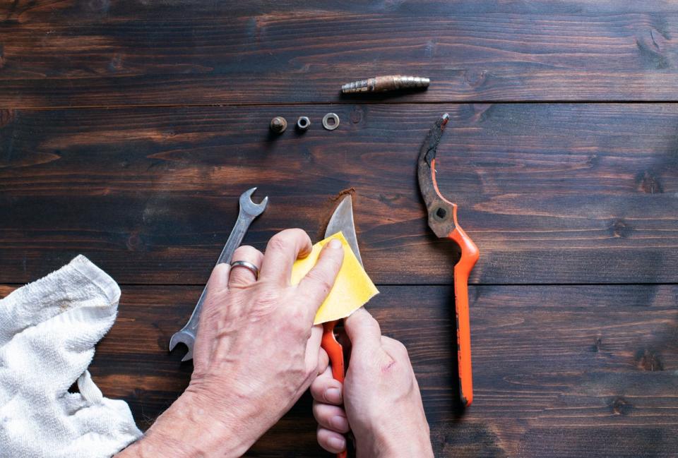 men hands cleaning and assembling a pair of garden scissors. 