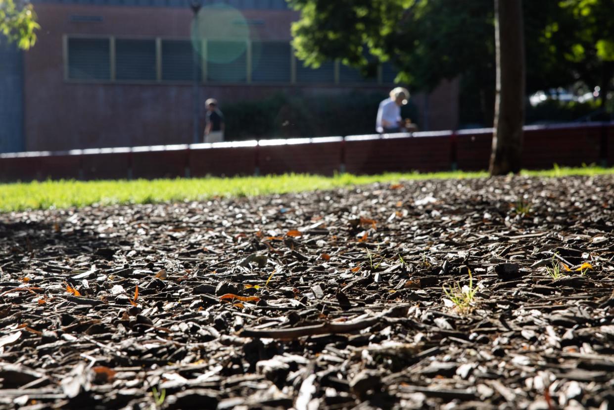 <span>Harmony Park in Surry Hills, which was fenced off on Tuesday after friable asbestos was found in mulch.</span><span>Photograph: Blake Sharp-Wiggins/The Guardian</span>