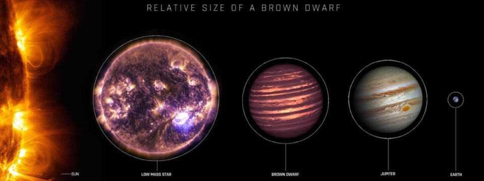 Size comparison of stars, brown dwarfs, and gas giants.