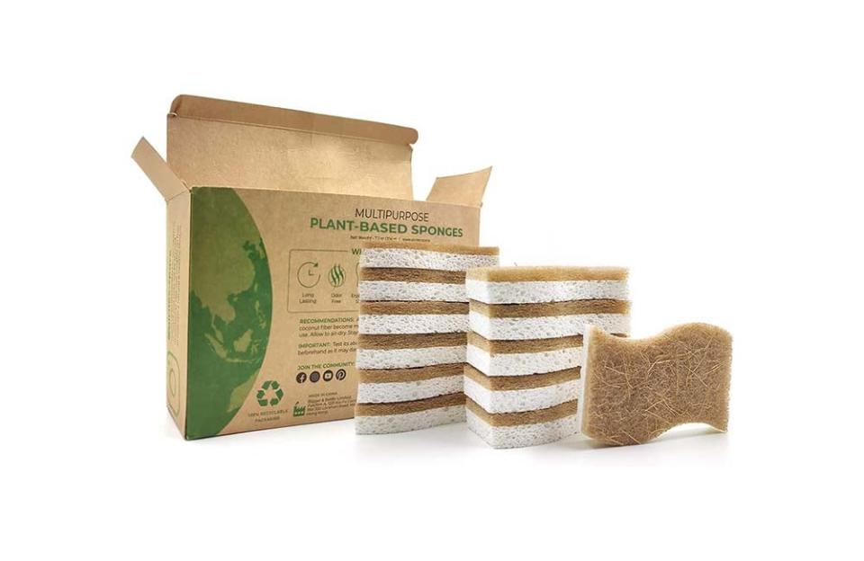 The Best Compostable Product Option Airnex Natural Kitchen Sponge