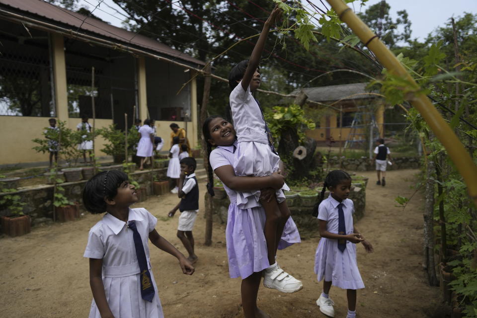 A primary student lifts another to reach a vegetable plant cultivated as a part of food security program at their school garden in Mahadamana village in Dimbulagala, about 200 kilometres north east of Colombo, Sri Lanka, Monday, Dec. 12, 2022. (AP Photo/Eranga Jayawardena)