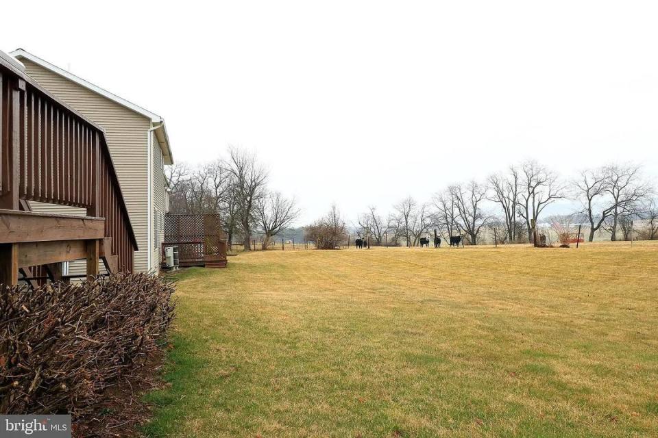 A view from the backyard at 104 Rosewood Cove in Bellefonte. Photo shared with permission from home’s listing agent, Linda Lowe of RE/MAX Centre Realty.