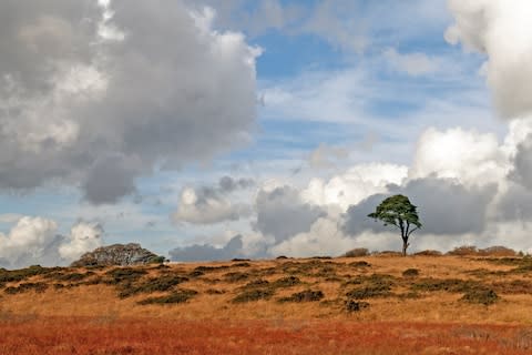 The Mendips - Credit: GETTY