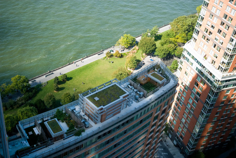 A view of the green roof at the Battery Park apartment building where DiCaprio owns two units.