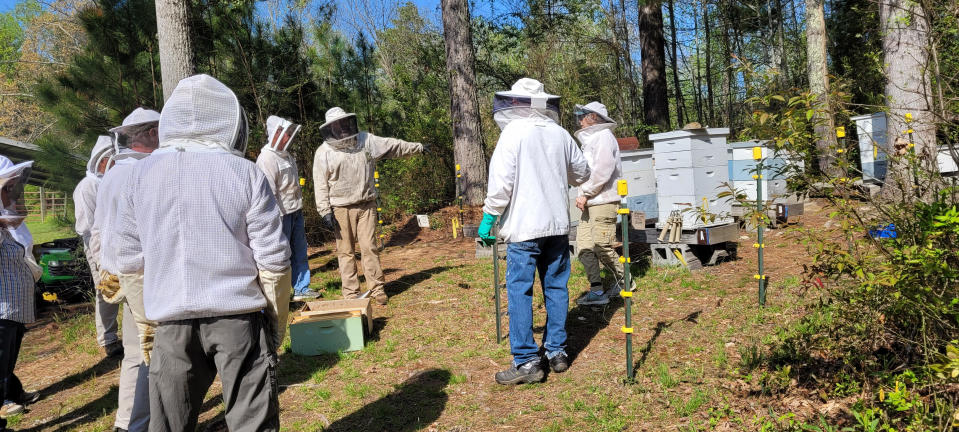 Members of the Henderson County Beekeepers Association check on the honeybee hives they have been monitoring.
