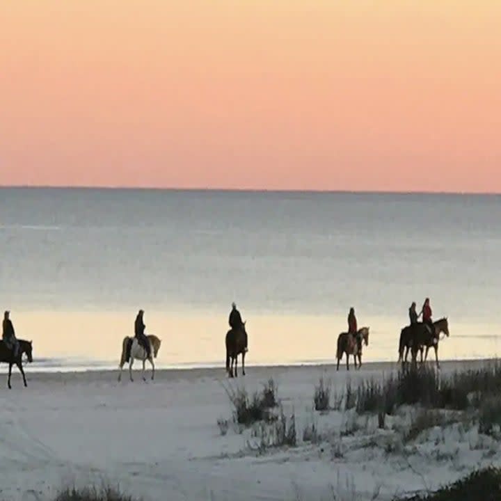 Guests riding horses on the beach