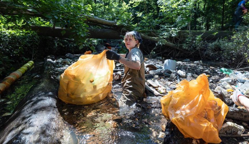 Volunteer Jo Buehrer wades into the Third Fork Creek to  collect trash as members of the Haw River Assembly and volunteers empty a trash trap in Durham, N.C., Saturday, May 25, 2024. Styrofoam is far and away the most common item found in the trash trap.