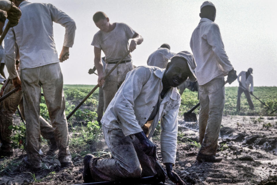 This 1972 photo shows prisoners at the Arkansas Department of Corrections Cummins Unit on work detail in the fields in Grady, Ark. As daily temperatures hit record highs across much of the South, a federal judge has taken an unusual step, challenging the treatment of mostly Black incarcerated workers in the fields. (Bruce Jackson via AP)