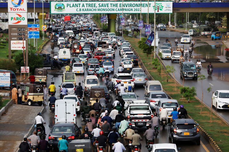 The Wider Image: Pakistanis plant trees to provide relief from scorching sun