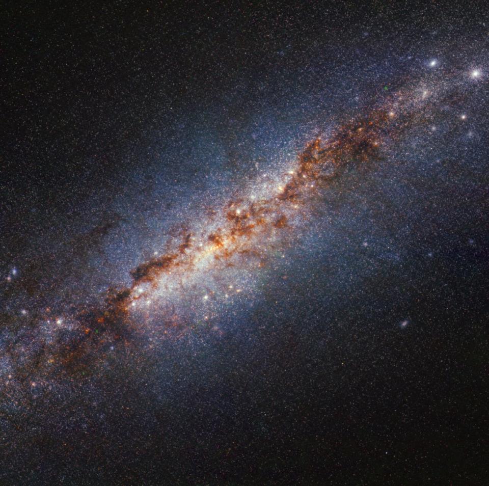 Part of M82 as depicted by Webb.  An edge-on spiral galaxy with a bright white, glowing core against the black background of space.  Dark brown dust tendrils are heavily scattered toward the center of the Milky Way.  Many white points of different sizes (stars or star clusters) are scattered across the image, but are most concentrated towards the center.