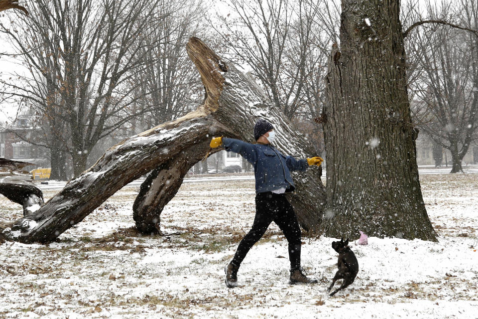 Clay Roronoa throws a stick as he plays with his dog Elluh in Fairmount Park, Sunday Jan. 31, 2021 in Philadelphia. After days of frigid temperatures, the Northeast is bracing for a whopper of a storm that could dump well over a foot of snow in many areas and create blizzard-like conditions. (AP Photo/Jacqueline Larma)