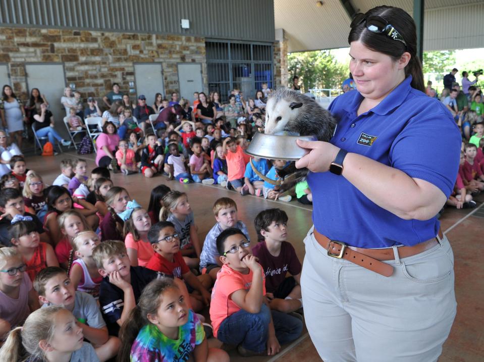 Seen in this 20219 photo, Dallas Zoo outreach specialist manager, Allyssa Leslie shows Emory the Opossum during the zoo's annual trip to the Wichita Falls River Bend Nature Center.