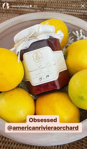 <p>mindy kaling/instagram</p> Mindy Kaling's photo of American Riviera Orchard jam on her Instagram Stories.