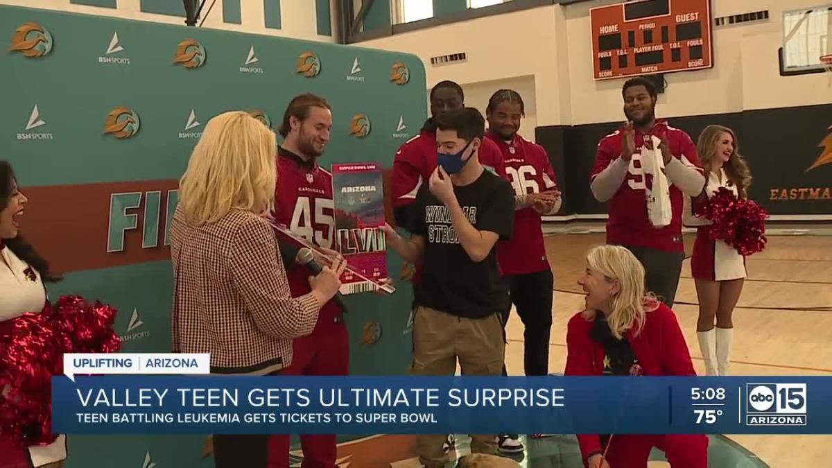 Cardinals surprise teen battling cancer with Super Bowl tickets