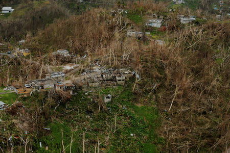 An aerial view shows trees and buildings damaged by Hurricane Maria in Puerto Rico, October 5, 2017. Picture taken October 5, 2017. REUTERS/Lucas Jackson